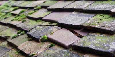 Colchester roof repair costs